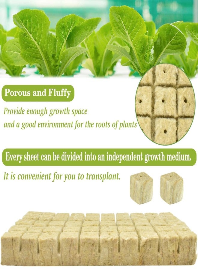 Halatool مكعبات الصوف الصخري من هالاتول مقاس 1 بوصة، مكعبات صوف صخري للزراعة، شتلات، عقل، نباتات مستنسخة، بداية الإنبات (ورقتان، 100 مكعب إجمالاً) - Image 3